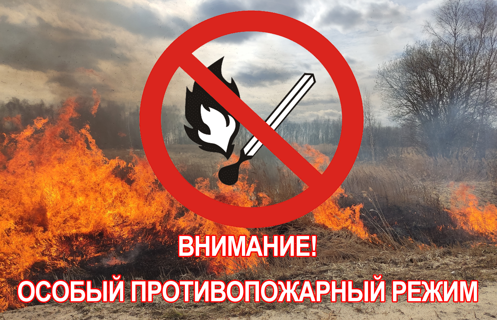 Постановление № 4/589 от 26.04.2023 г. &quot;Об установлении на территориях населенных пунктов муниципального района «Сысольский» особого противопожарного режима.
